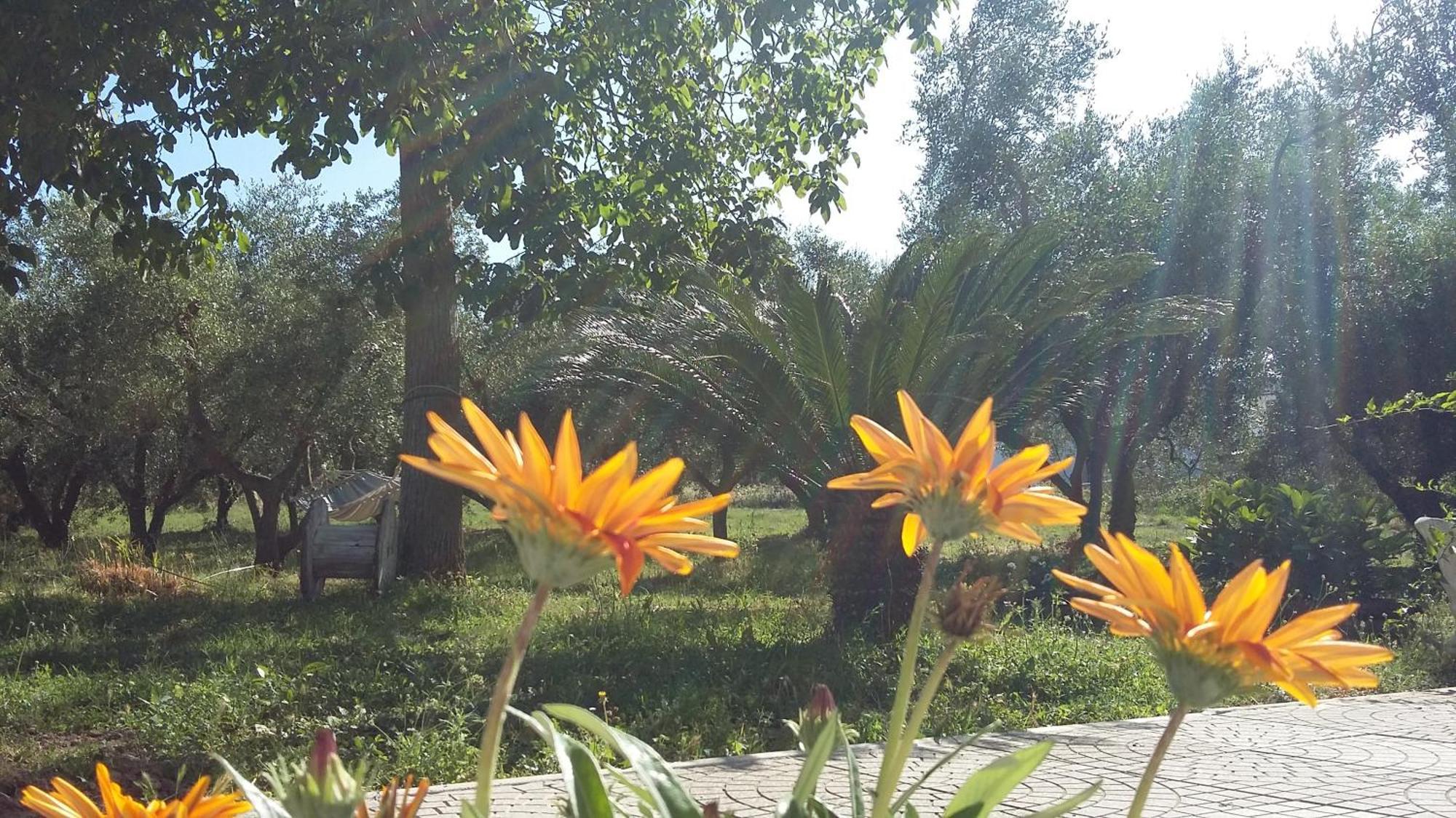 מרתה Agriturismo Santa Maria מראה חיצוני תמונה